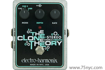 Enlarged view of image